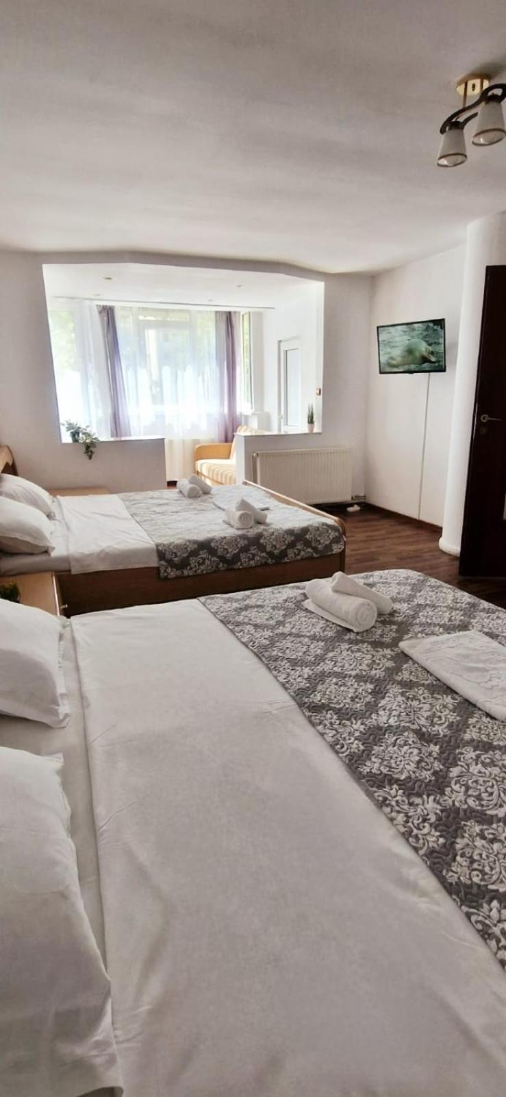 Stephanie Apartment-Centru Civic Braşov Eksteriør billede