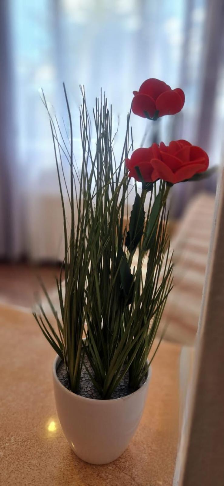 Stephanie Apartment-Centru Civic Braşov Eksteriør billede