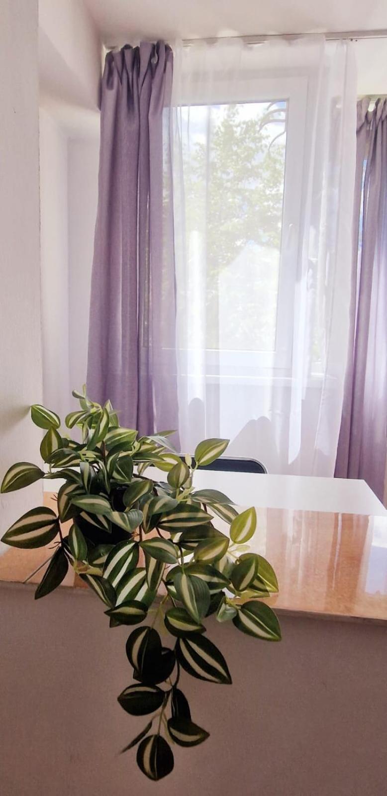 Stephanie Apartment-Centru Civic Braşov Eksteriør billede