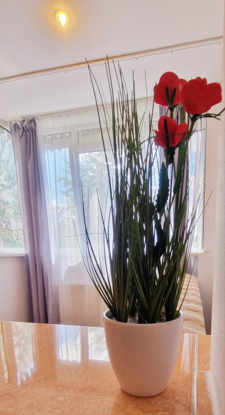 Stephanie Apartment-Centru Civic Braşov Eksteriør billede