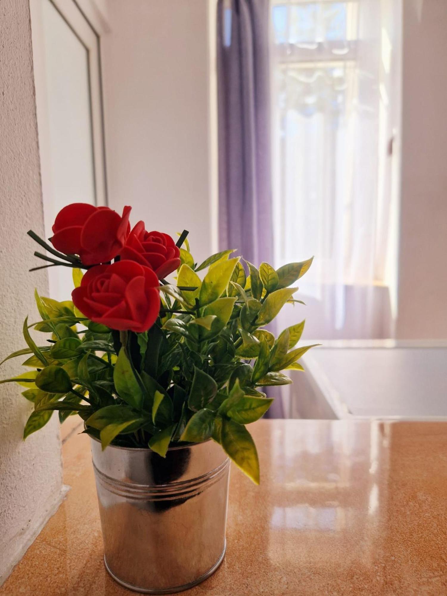Stephanie Apartment-Centru Civic Braşov Eksteriør billede