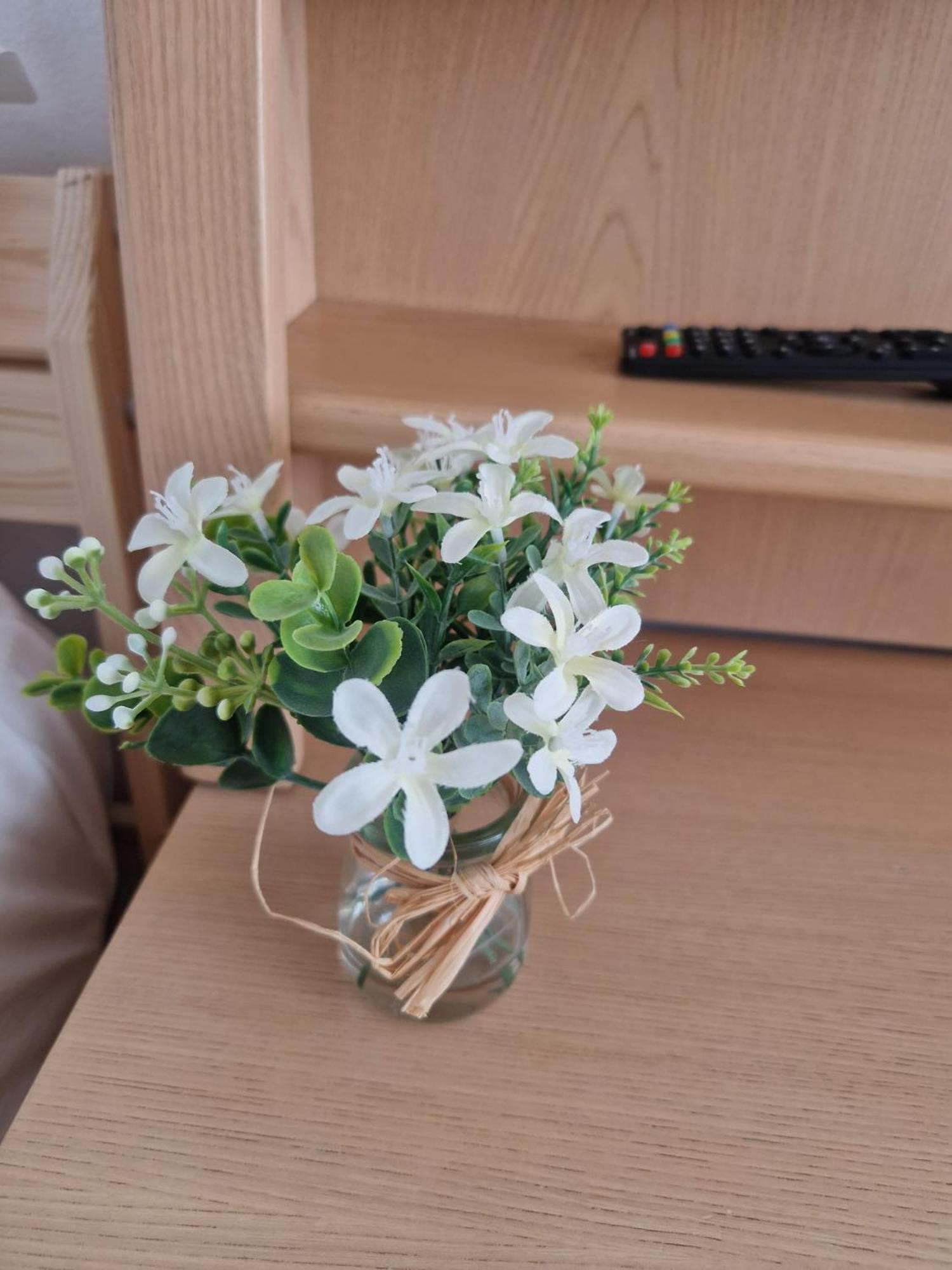 Stephanie Apartment-Centru Civic Braşov Eksteriør billede